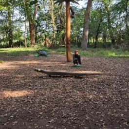 Szabadkígyósi Wenckheim-kastély Szabadkígyós - Egyéb