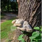 Szabadkígyósi Wenckheim-kastély Szabadkígyós - Egyéb