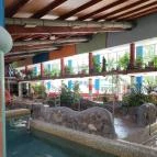 Hertelendi Termálfürdő Magyarhertelend - Egyéb