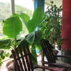 Hertelendi Termálfürdő Magyarhertelend - Egyéb