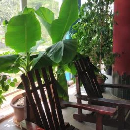 Hertelendi Termálfürdő Magyarhertelend - Egyéb