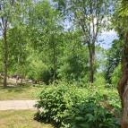 Hertelendi Termálfürdő Magyarhertelend - Egyéb