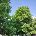 Hertelendi Termálfürdő Magyarhertelend - Egyéb