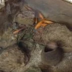 Hertelendi Termálfürdő Magyarhertelend - Egyéb