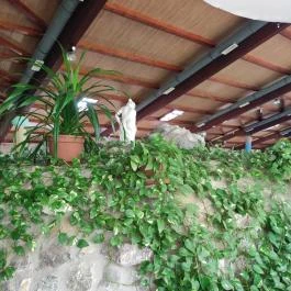 Hertelendi Termálfürdő Magyarhertelend - Egyéb