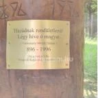 Honfoglalás emlékoszlop Visegrád - Egyéb