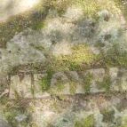 Honfoglalás emlékoszlop Visegrád - Egyéb