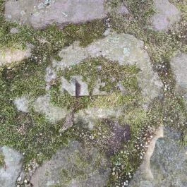 Honfoglalás emlékoszlop, Visegrád - Egyéb