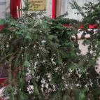 Hotel Benczúr Budapest - Egyéb