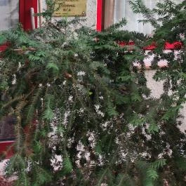 Hotel Benczúr, Budapest - Egyéb