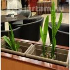 Hotel Benczúr Budapest - Egyéb