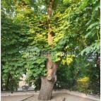 Hotel Eger & Park Eger - Egyéb