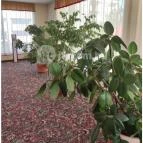 Hotel Eger & Park Eger - Egyéb