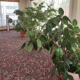 Hotel Eger & Park, Eger - Egyéb