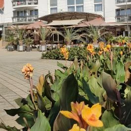 MenDan Magic Spa & Wellness Hotel, Zalakaros - Egyéb