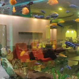 MenDan Magic Spa & Wellness Hotel, Zalakaros - Egyéb