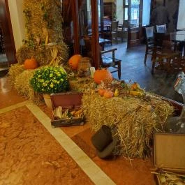 Danubius Hotel Rába, Győr - Egyéb