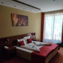 Hotel Golden Lake Resort, Balatonfüred - Egyéb