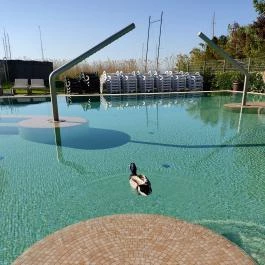 Hotel Golden Lake Resort, Balatonfüred - Egyéb