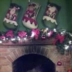 Szárcsa Hotel Székesfehérvár - Belső