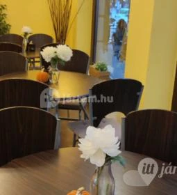 Hóvirág Fagylaltbár