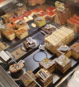 Hóvirág Fagylaltbár