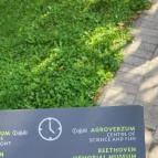 Kastély Cukrászda Martonvásár - Egyéb