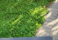 Kastély Cukrászda Martonvásár