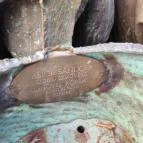 Kirándulók Békéscsaba - Egyéb