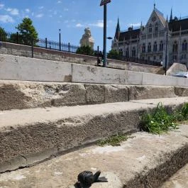 Kolodko: Békalábas usanka Budapest - Egyéb