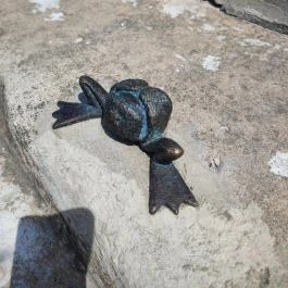 Kolodko: Békalábas usanka Budapest - Egyéb