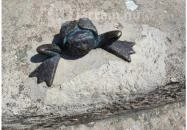 Kolodko: Békalábas usanka Budapest