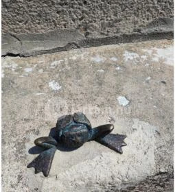 Kolodko: Békalábas usanka