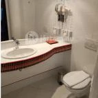 Liget Wellness & Konferencia Hotel Szarvas - Egyéb