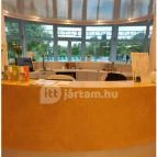 Liget Wellness & Konferencia Hotel Szarvas - Egyéb