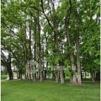 Liget Wellness & Konferencia Hotel Szarvas - Egyéb