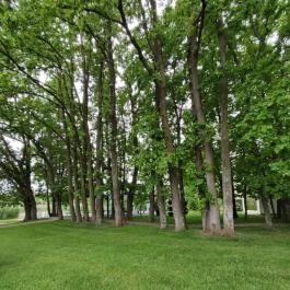 Liget Wellness & Konferencia Hotel , Szarvas - Egyéb