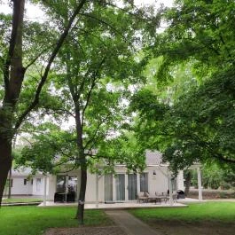 Liget Wellness & Konferencia Hotel , Szarvas - Egyéb