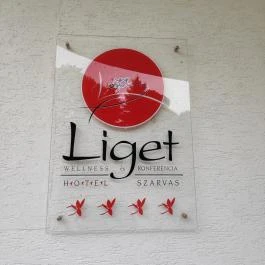 Liget Wellness & Konferencia Hotel , Szarvas - Egyéb