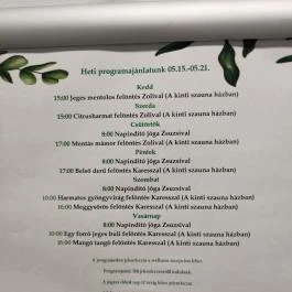 Liget Wellness & Konferencia Hotel , Szarvas - Egyéb