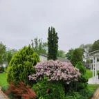 Liget Wellness & Konferencia Hotel Szarvas - Egyéb