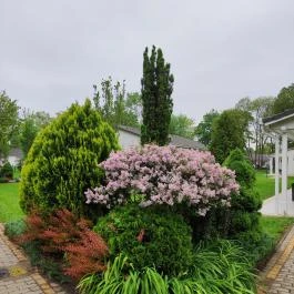 Liget Wellness & Konferencia Hotel , Szarvas - Egyéb