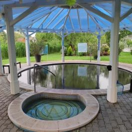 Liget Wellness & Konferencia Hotel , Szarvas - Egyéb