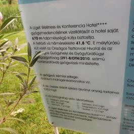 Liget Wellness & Konferencia Hotel , Szarvas - Egyéb