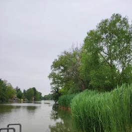 Liget Wellness & Konferencia Hotel , Szarvas - Egyéb