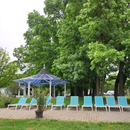 Liget Wellness & Konferencia Hotel , Szarvas - Egyéb