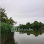 Liget Wellness & Konferencia Hotel Szarvas - Egyéb