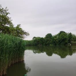 Liget Wellness & Konferencia Hotel , Szarvas - Egyéb