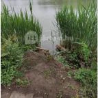 Liget Wellness & Konferencia Hotel Szarvas - Egyéb