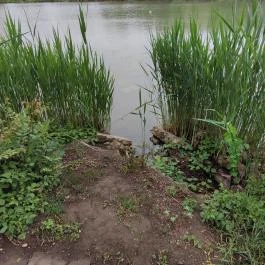 Liget Wellness & Konferencia Hotel , Szarvas - Egyéb